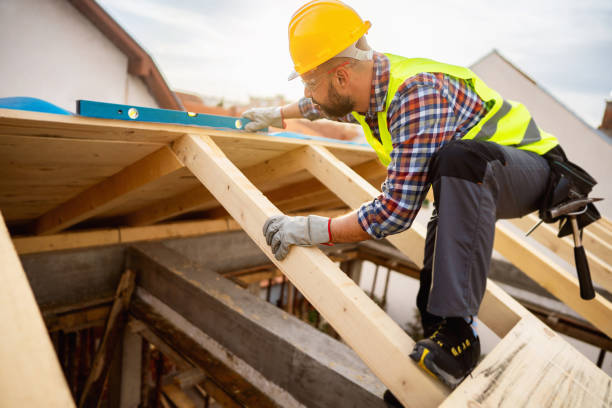 Best Roof Gutter Cleaning  in Hammond, WI