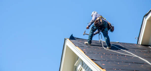 Best Roof Leak Repair  in Hammond, WI